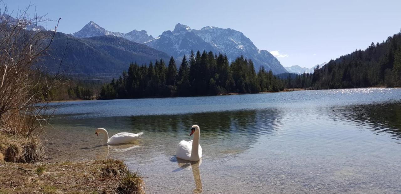 Ferienwohnung Bergfrieden Krün Buitenkant foto